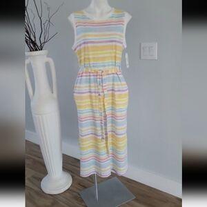 Time and Tru dress XXXL